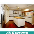 Budget Kitchen Cabinet Furniture for Apartment (AIS-K059)